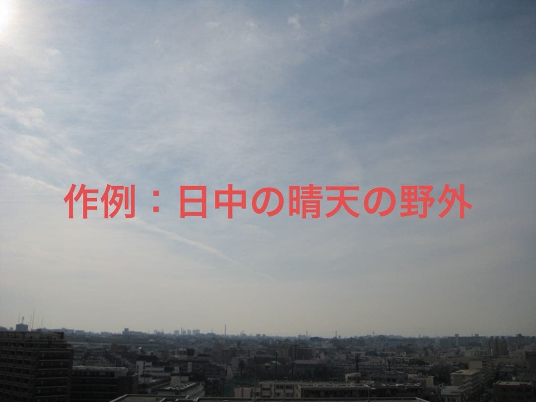 極上品【動作品】Canon キャノン IXY DIGITAL 10 PC1228