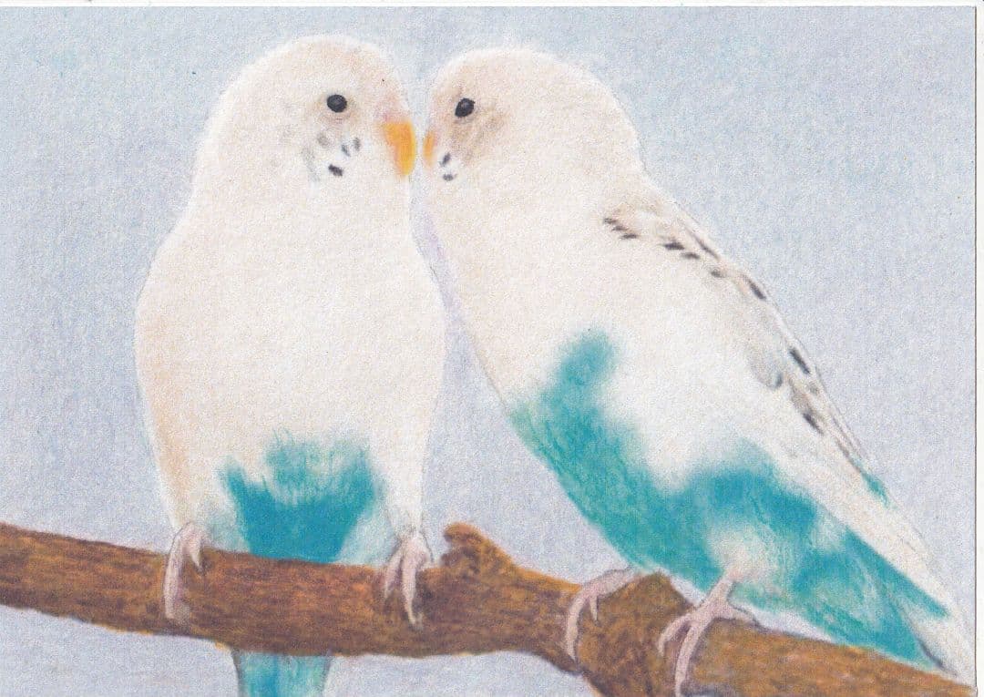 専用…かずちゃんさま