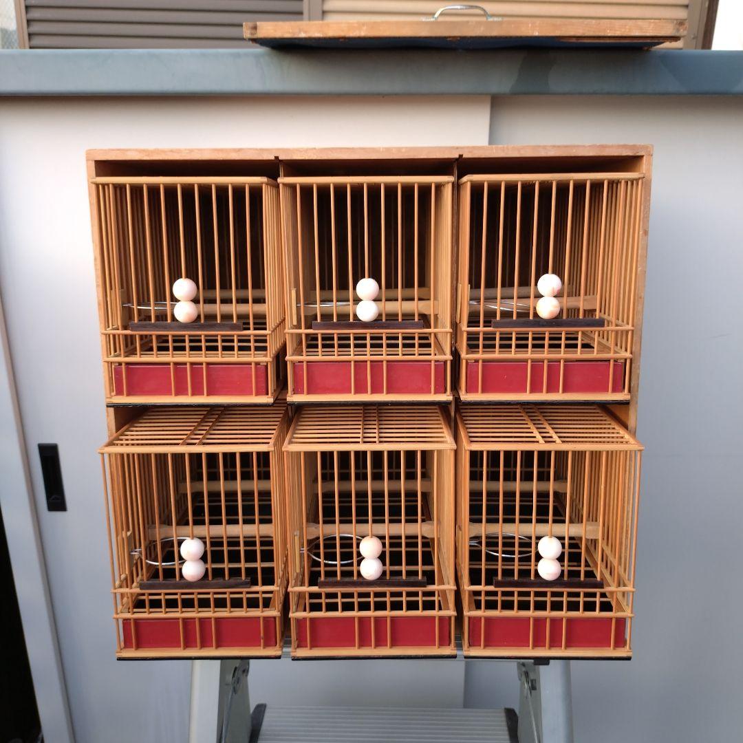 ゆでたまご様用　メジロ籠