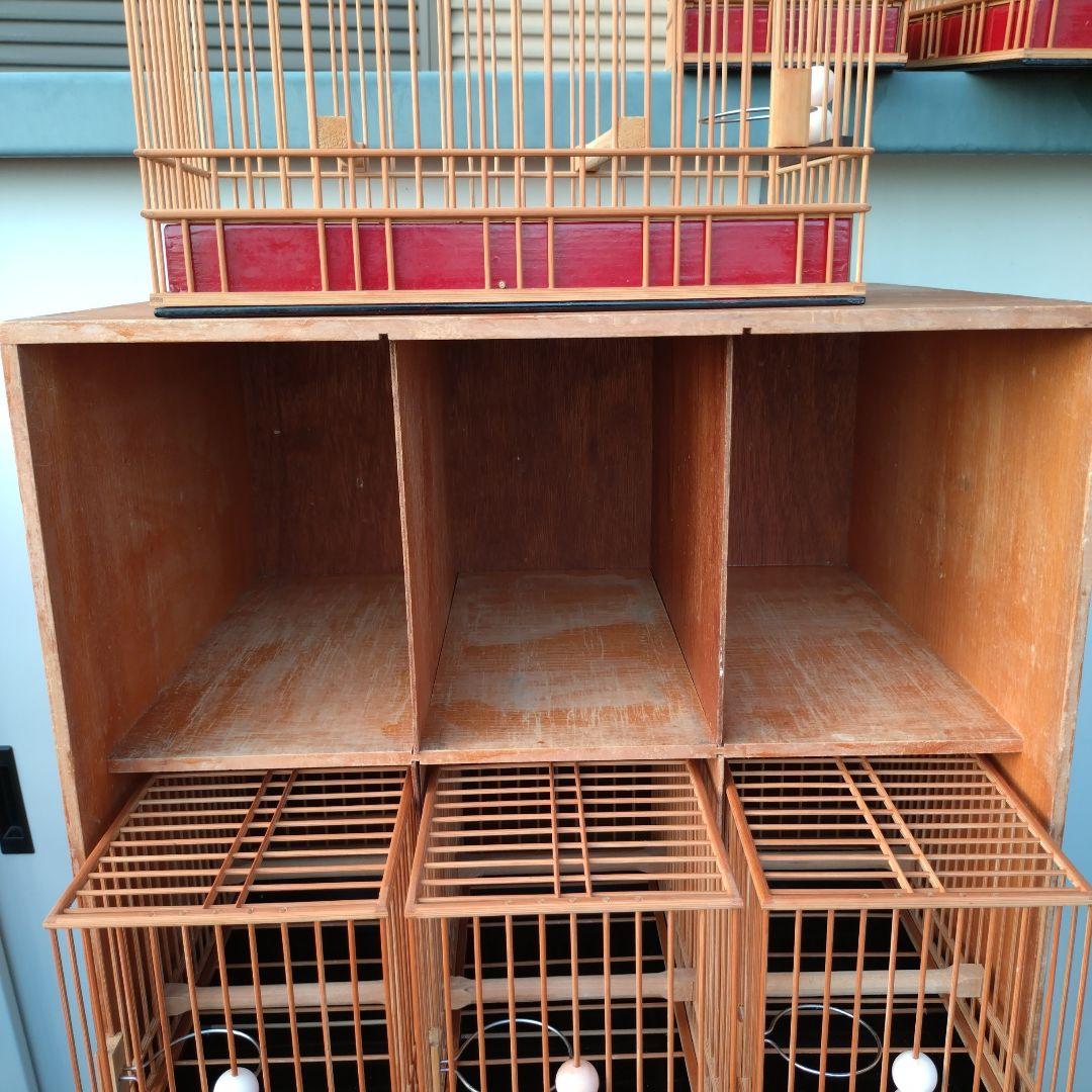 ゆでたまご様用　メジロ籠