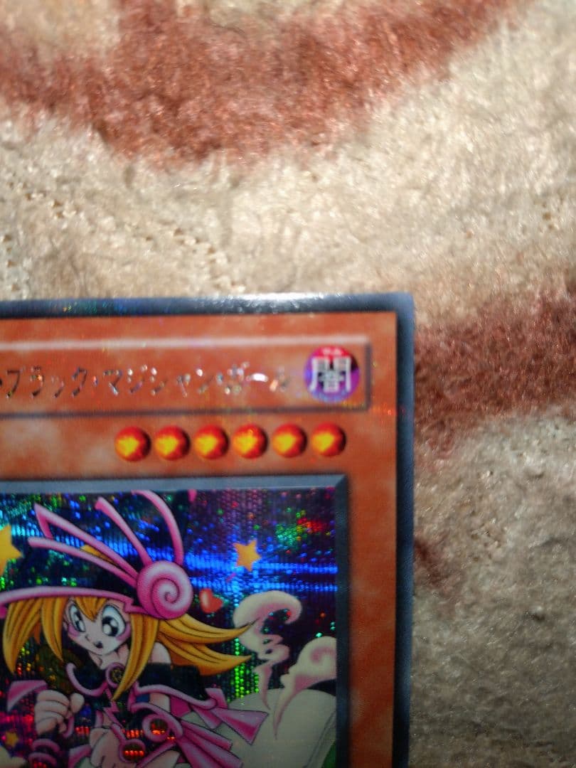 遊戯王トゥーン・ブラック・マジシャン・ガール②枚セット