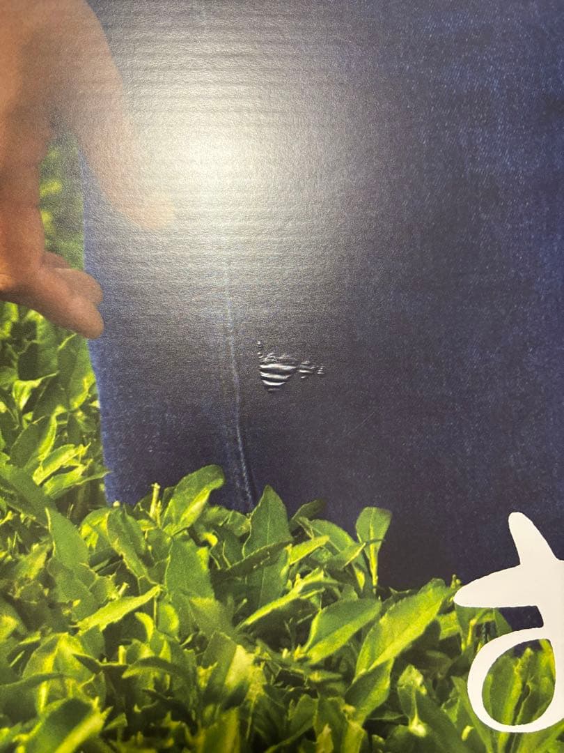 大谷翔平等身大パネルでございます。