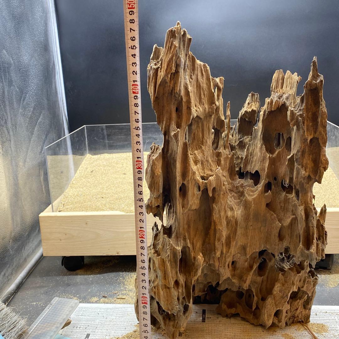 MMW-6273 特大マシンガンウッド　自立一点物　流木　アクアリウム