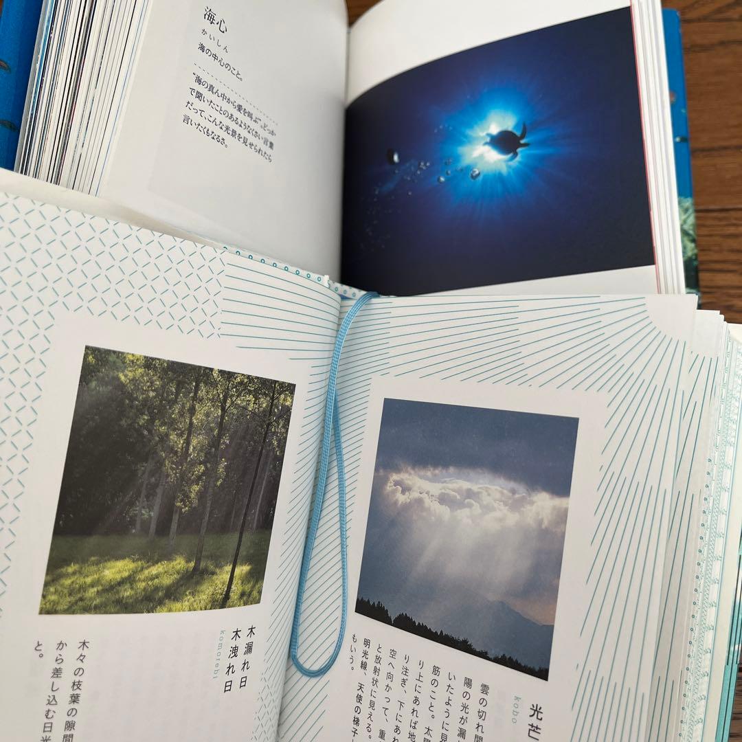 雷鳥社 辞典　海　空　星　草　花　色　石　菜　紋　菓子