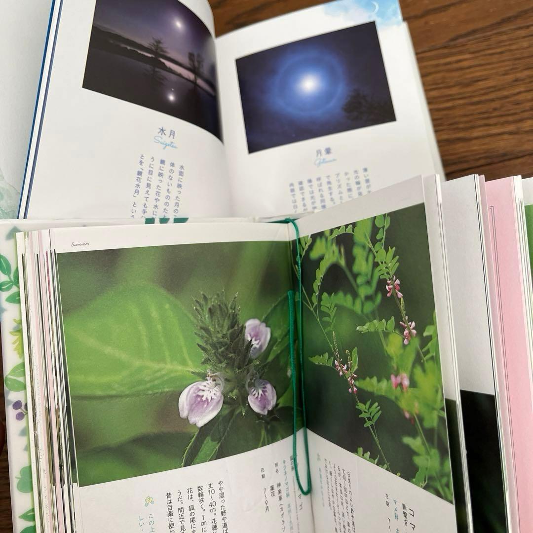 雷鳥社 辞典　海　空　星　草　花　色　石　菜　紋　菓子