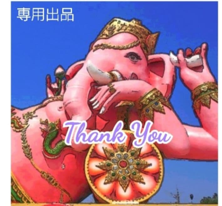 ぽん様＊240箱＊HEMコーン180箱+スティック60箱