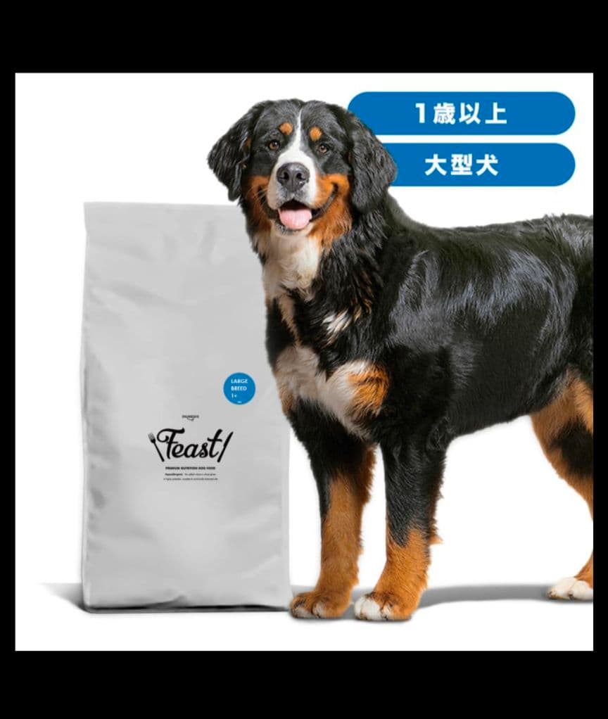 INUMESHIフィースト 1才以上 大型犬用 大粒 15kg ブリーダーパック