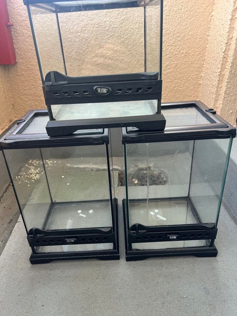 爬虫類　グラステラリウムナノ　セット