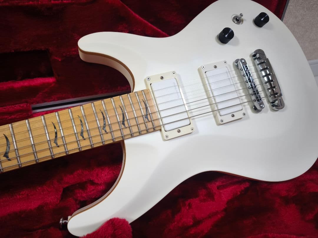 Fujigen Expert Elan ホワイト