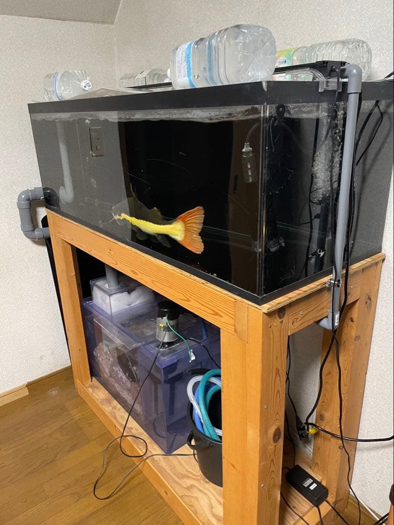 大型オーバーフロー水槽 フルセット