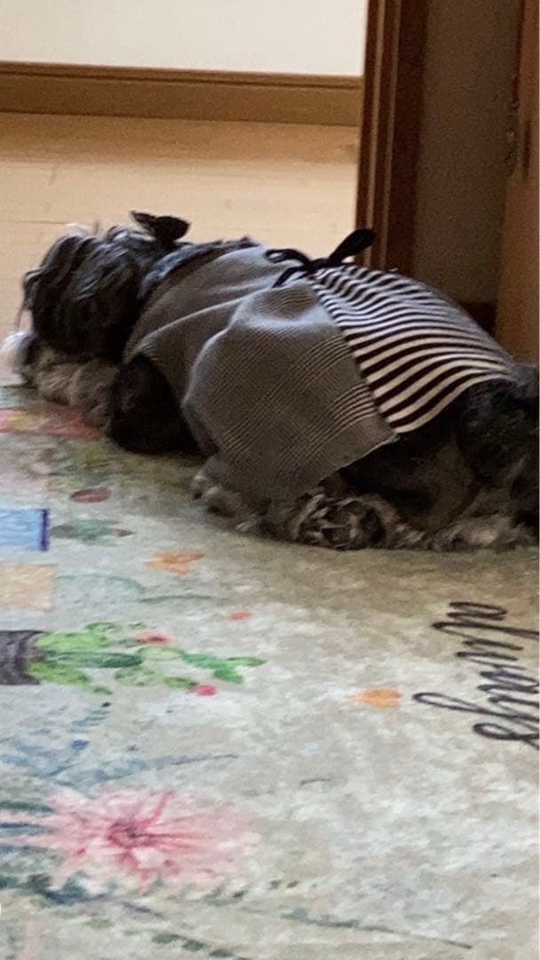 miniさま  確認用　その②