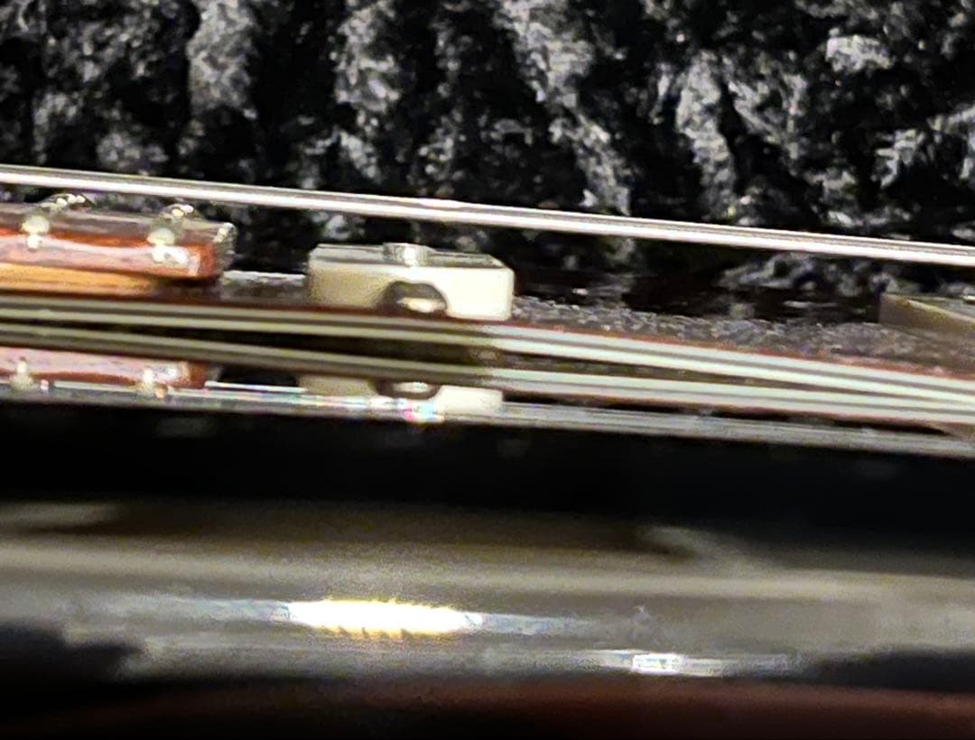 レア JAMES TYLER USA スペシャルエディション ブラッククラシック