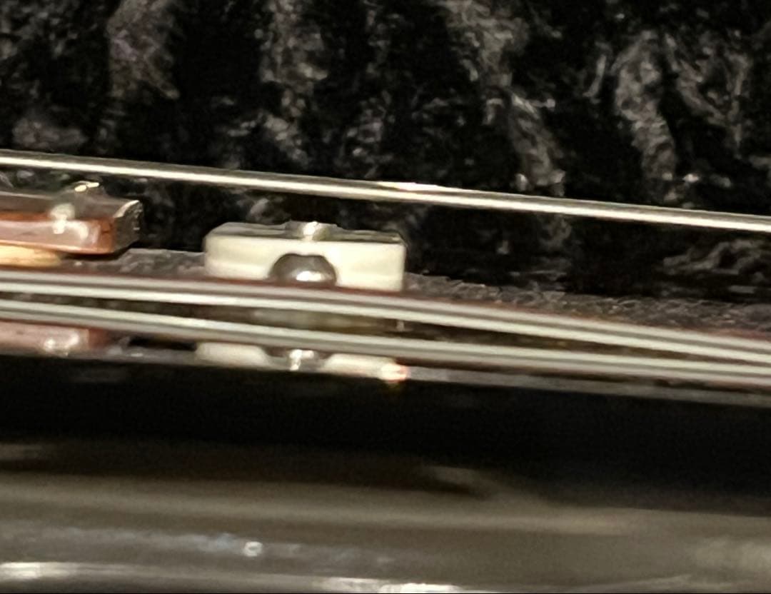 レア JAMES TYLER USA スペシャルエディション ブラッククラシック