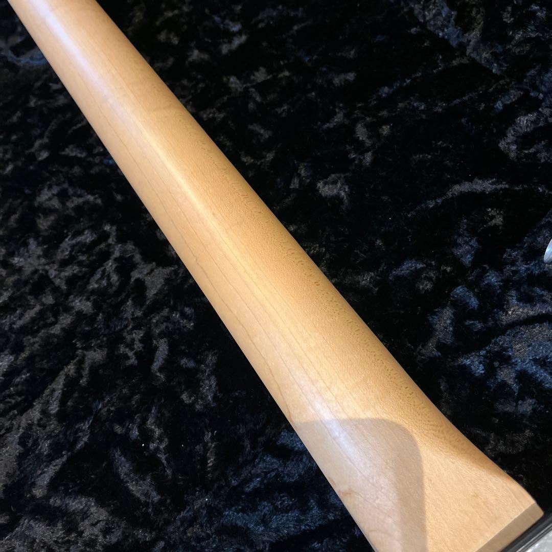 レア JAMES TYLER USA スペシャルエディション ブラッククラシック