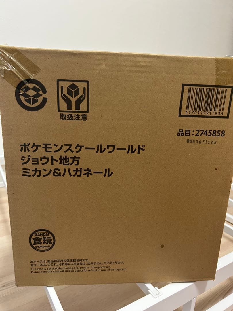 ポケモンスケールワールド ミカン&ハガネール