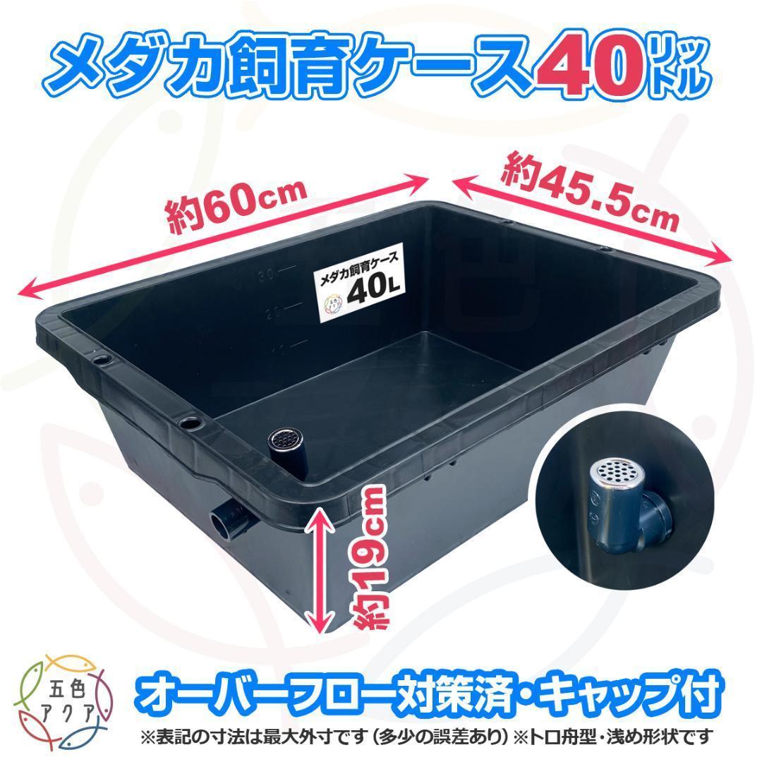 【限定特価】メダカ飼育ケース 40㍑トロ舟x5個 オーバーフロー付 金魚飼育容器