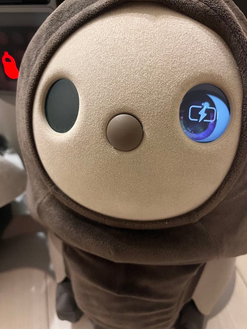 LOVOT 　初代 デュオ　2020年頃購入