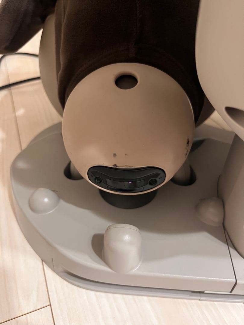 LOVOT 　初代 デュオ　2020年頃購入