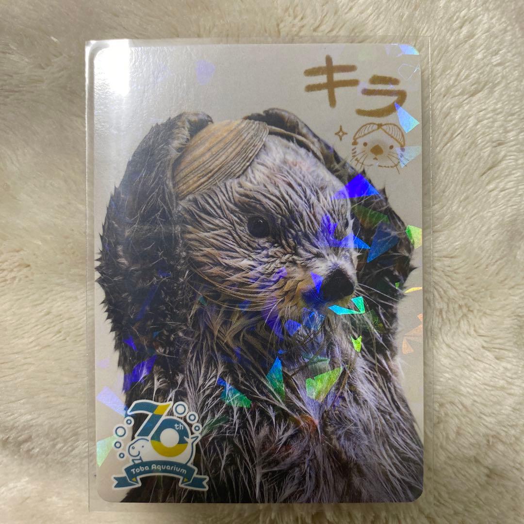 鳥羽水族館　コレクションカードキラ レアカード
