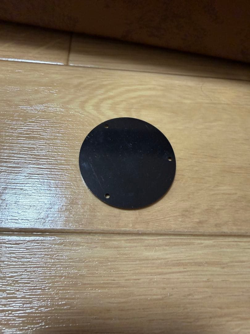 Gibson Custom Shop Les Paul Special 限定品