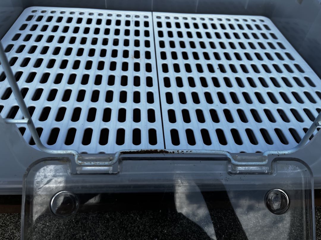 うさぎ　飼育セット　12点まとめ売り