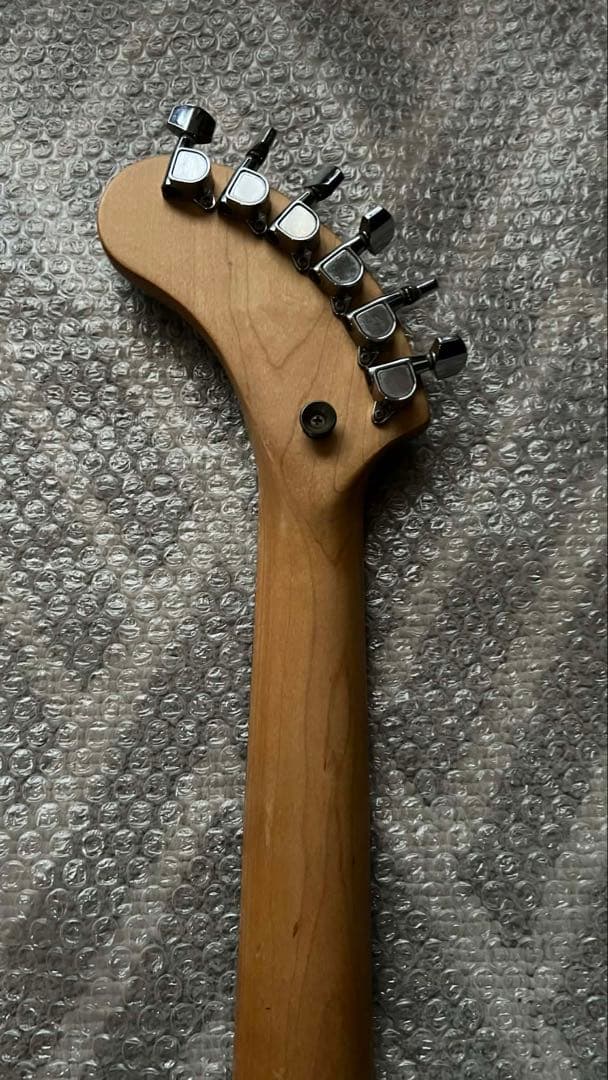 FERNANDES ZO-3 (ブルー )専用ケース