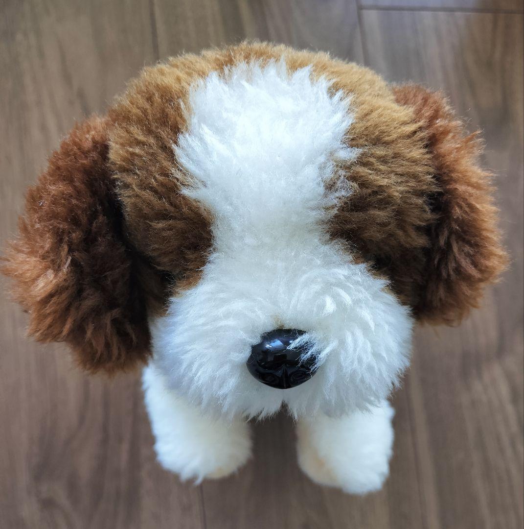 こいぬのドン ぬいぐるみ