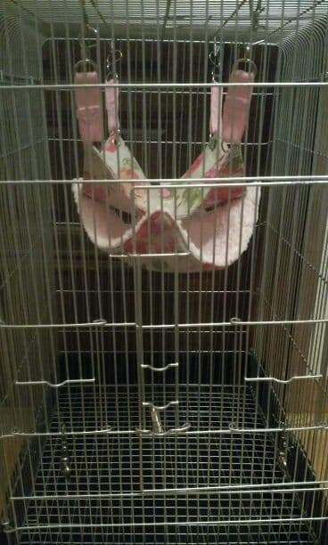 モモンガハウス(大きい花柄) ボアピンク   特大サイズ  2400円