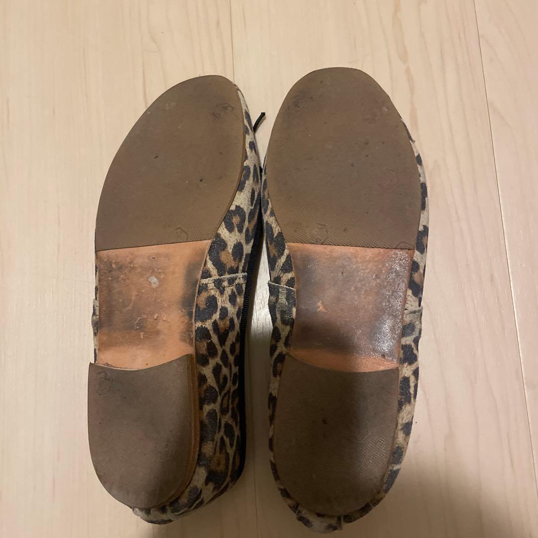 PORSELLI / ポルセリ バレエシューズ レオパード