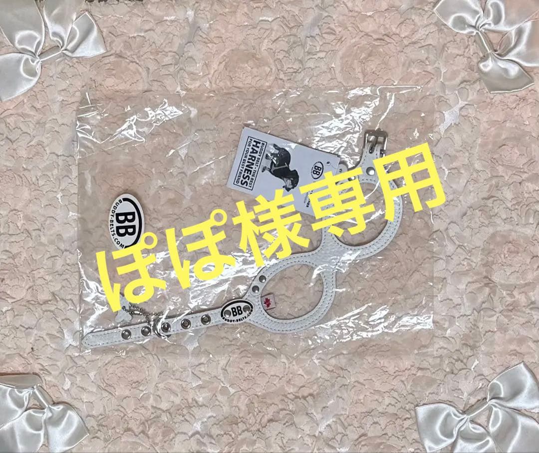 BUDDYBELTS (バディベルトBB) ハーネス2号　リードSサイズ　白