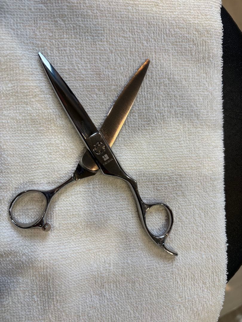 イサ　オオカワシザー　スライド