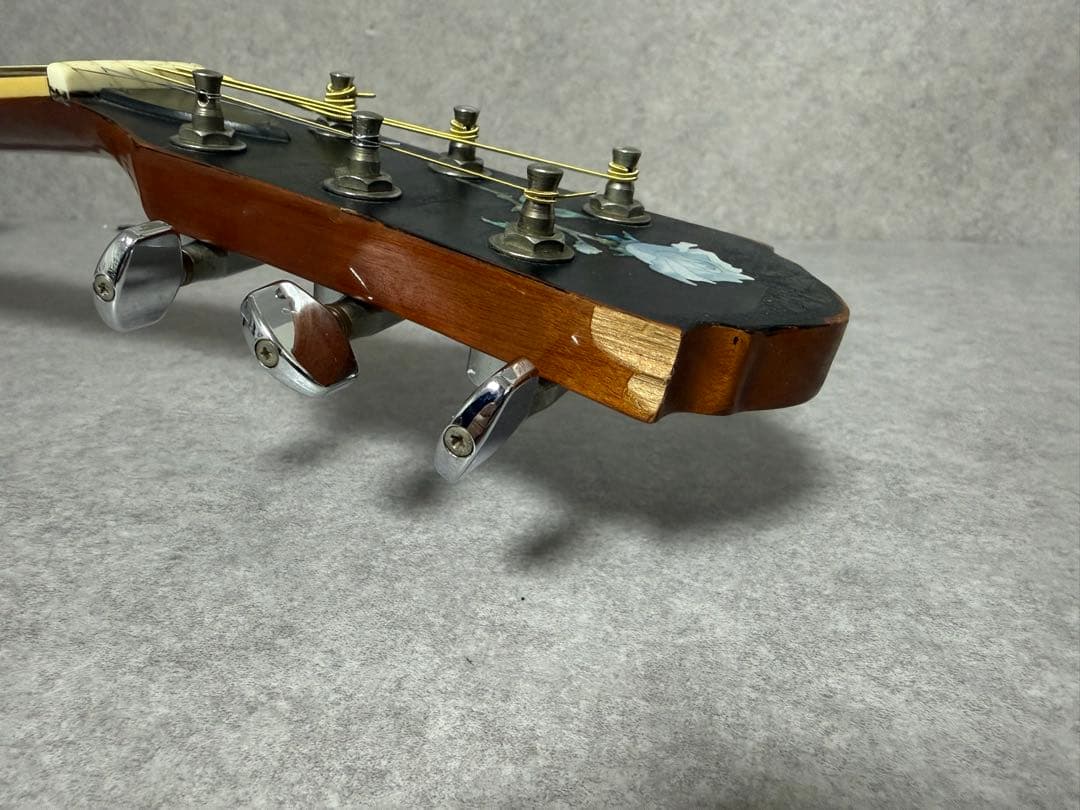 エレアコ Fホール 塗装 詳細不明 ブラック アコースティックギター