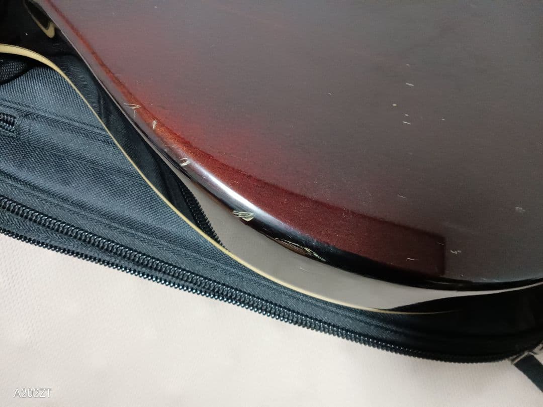 CRAFTER SA-TMVS セミアコ エレキギター ソフトケース付き 動作品