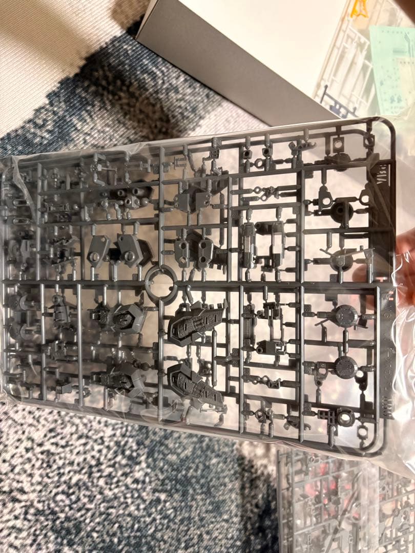 MG イージスガンダム　未組立