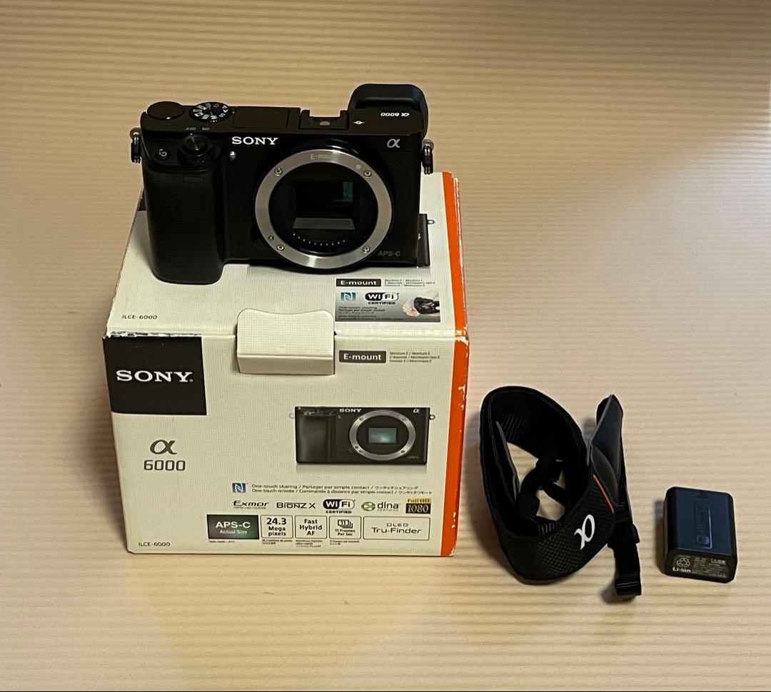 SONY α6000 ILCE-6000 動作確認済【総ショット数1557】