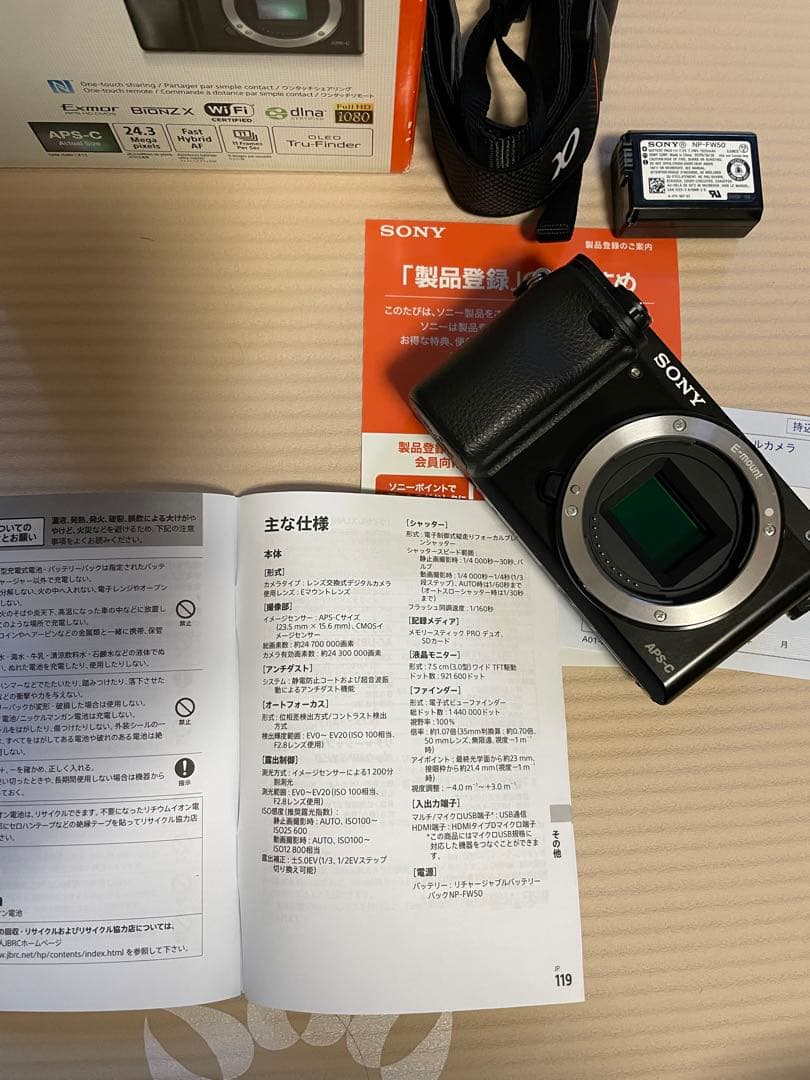 SONY α6000 ILCE-6000 動作確認済【総ショット数1557】