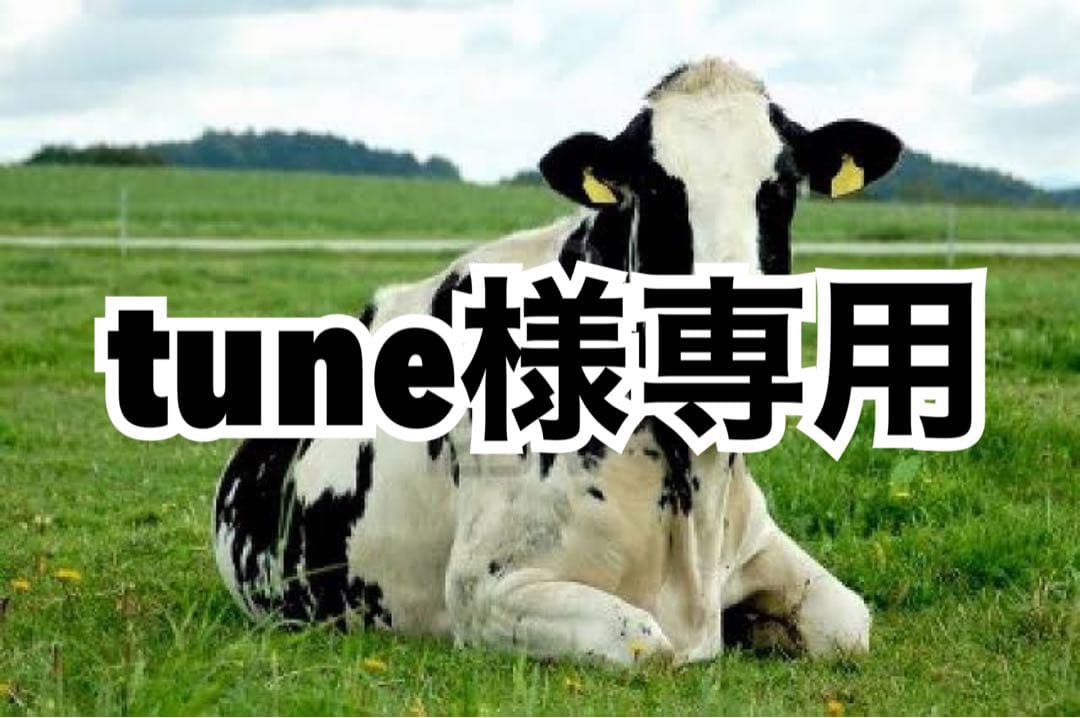 ピンク10、サックス10、ホワイト10