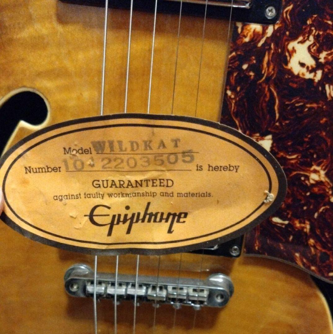 【究極のカスタム品】エピフォン ワイルドキャット
