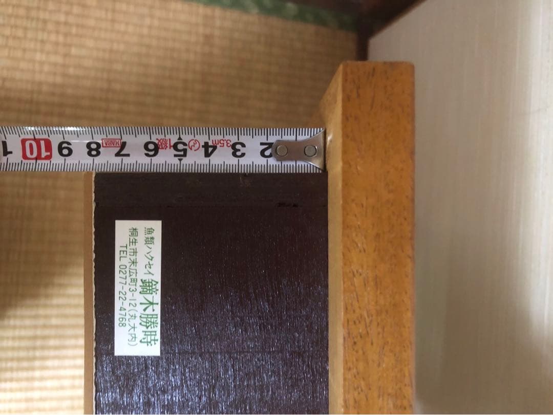 イワナの標本 剥製　木製フレーム 約30cm