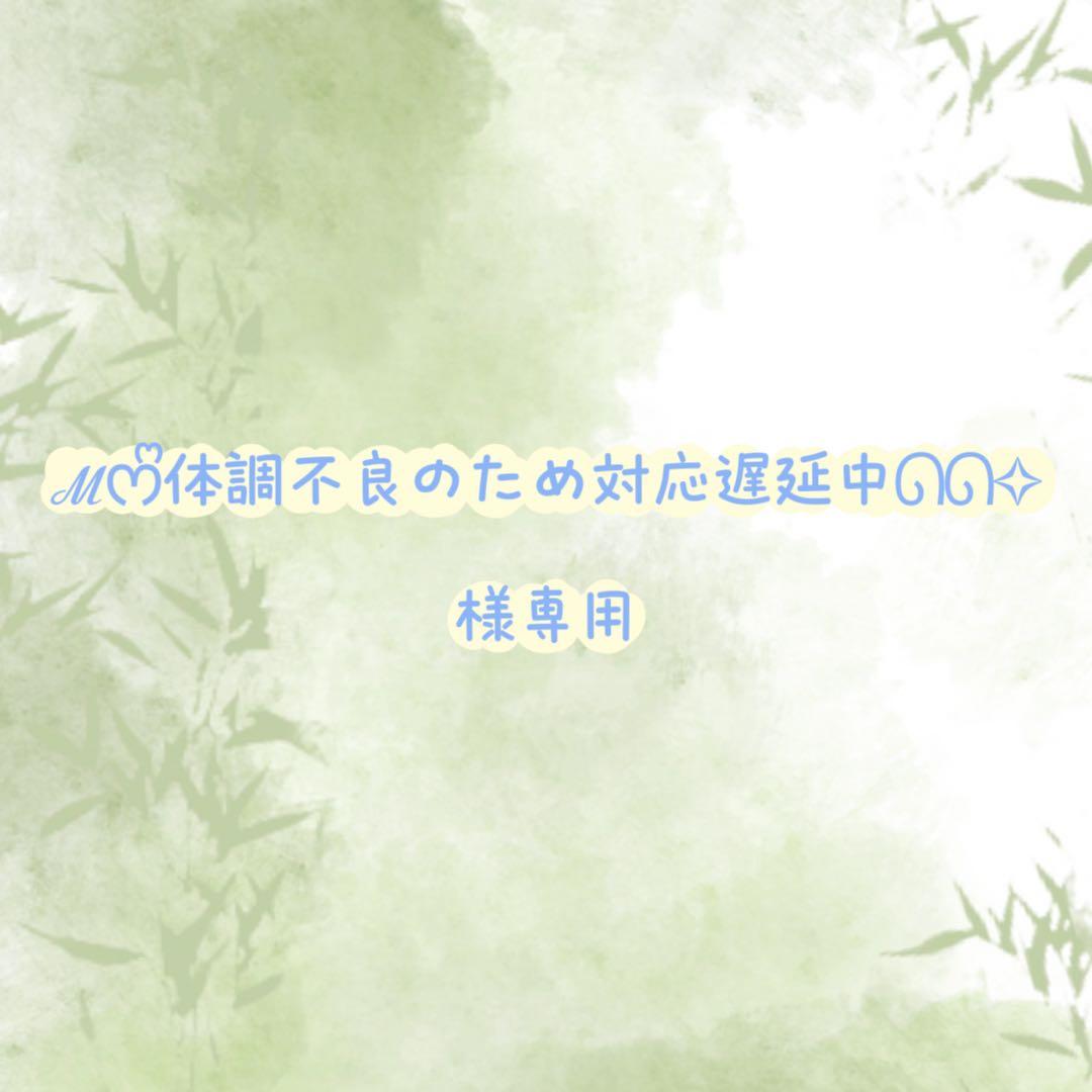 ℳᰔᩚ体調不良のため対応遅延中ᘏᘏ✧ 様 相談専用