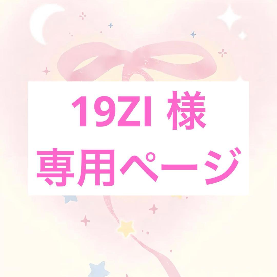 19ZI ページ【割引あり】