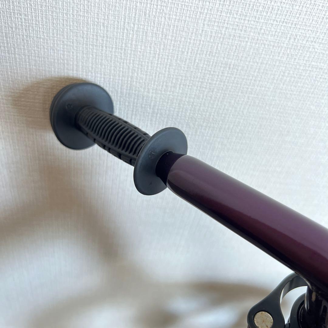 ストライダープロ（メタリックパープル）