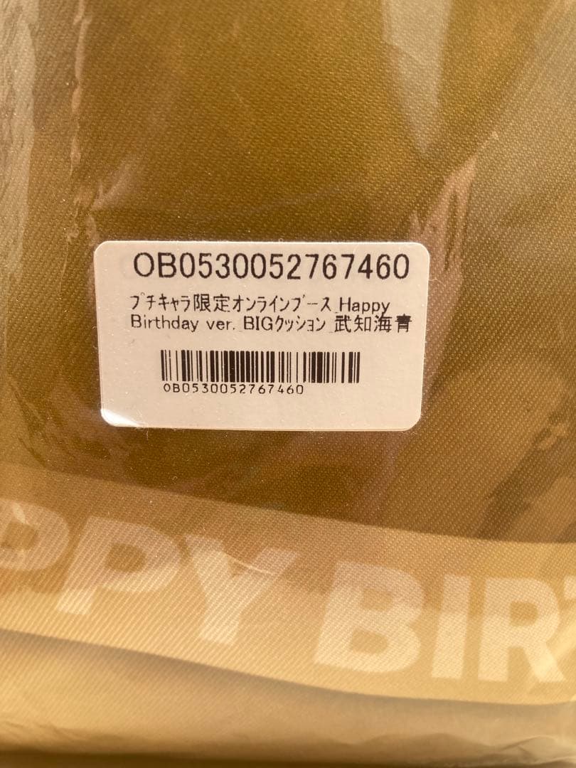 武知海青 RAMPAGE クッション バースデー オンラインブース プチキャラ
