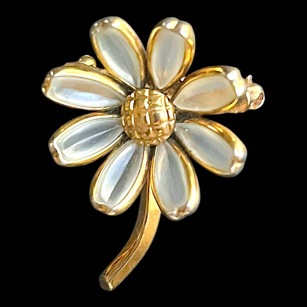 ☆ちょこすけページ☆