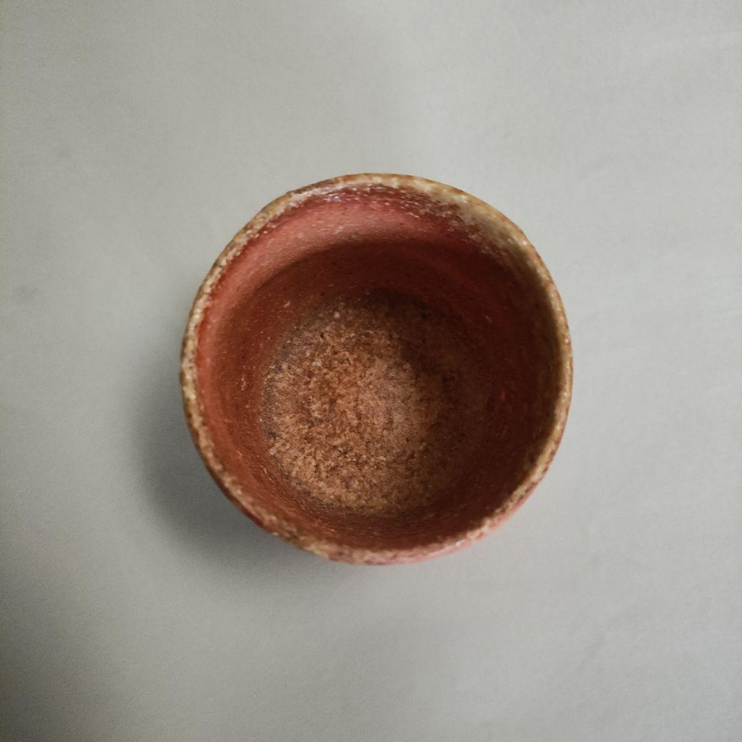 杉本貞光　寺垣外窯　信楽左馬徳利ぐい呑　信楽焼