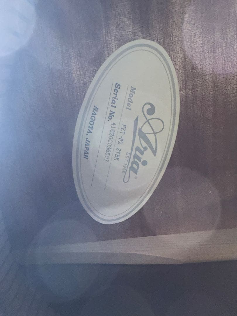 ARIA FET-F2 STBK エレアコ サテン・ブラック　ソフトカバー付き