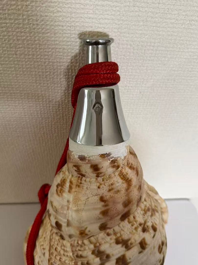 法螺貝貝全長約39cm 總1235g 笛 密教魔除け貝貝殻ホラガイホラ貝 ほら貝