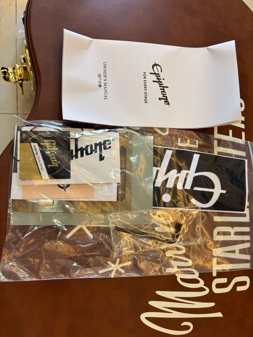 ギター Epiphone Back To The Future ES-345