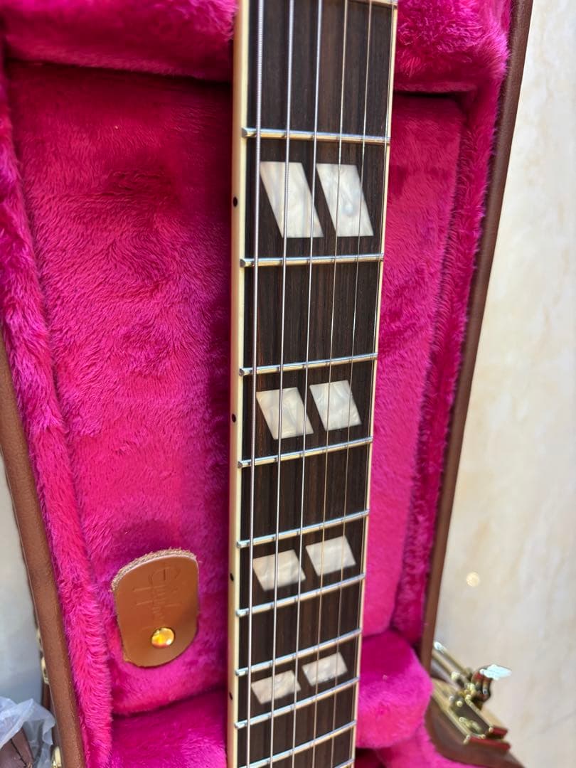 ギター Epiphone Back To The Future ES-345