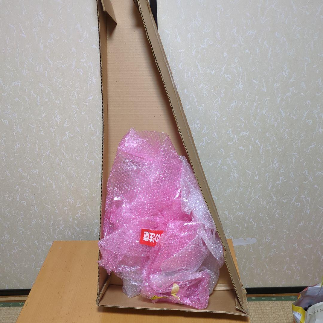 Morris アコースティックギター ドレッドノート エレア